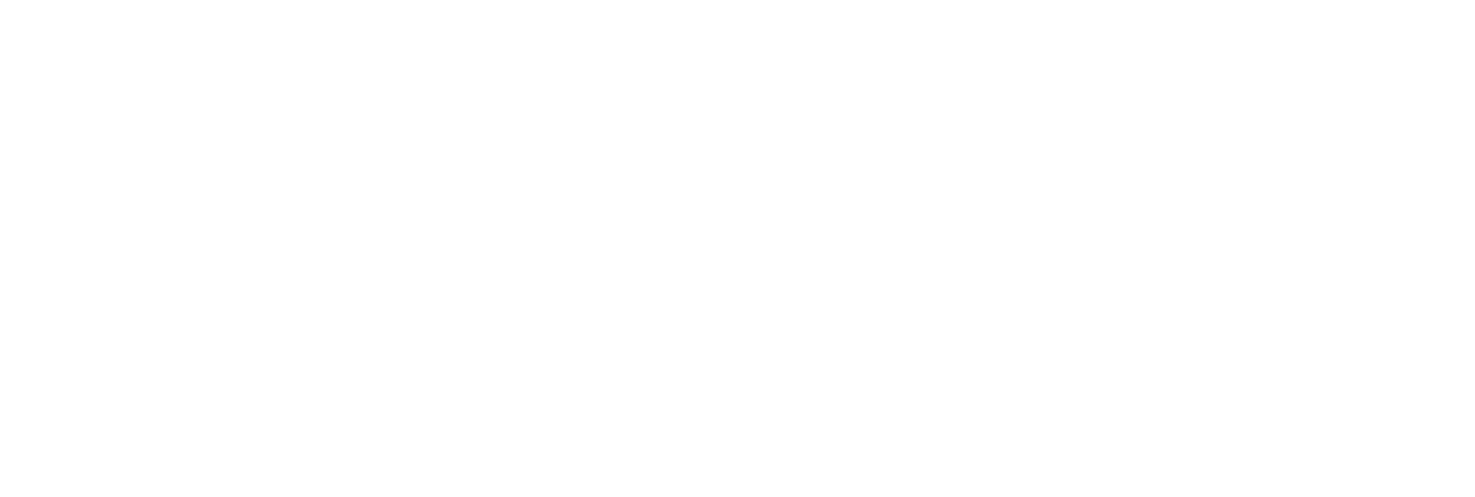 VSDental